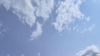  Pozemky Predaj orná pôda Trsťany Trsťany